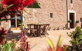 Finca Salas Nou